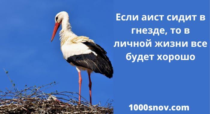 Белый аист с черным хвостом