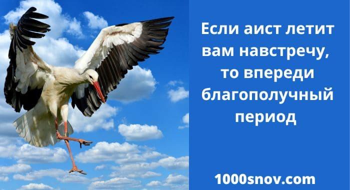 Парящий в небесах аист